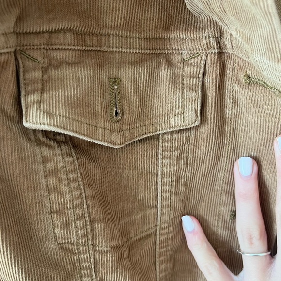 GAP| Brown corduroy jacket - Picture 3 of 5
